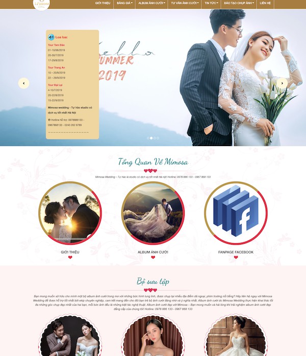 Dự án ảnh viện Mimosa Wedding