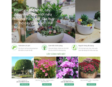 Dự án cây xanh Gia Huy
