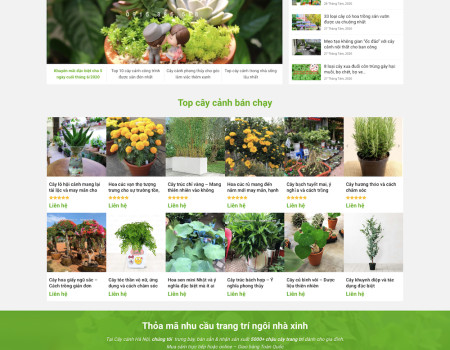 Dự án cây cảnh Hà Nội