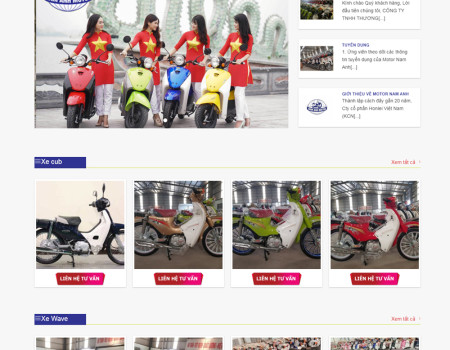 Dự án Nam Anh Motor