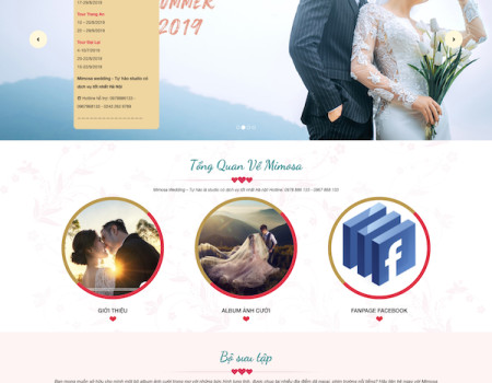 Dự án ảnh viện Mimosa Wedding