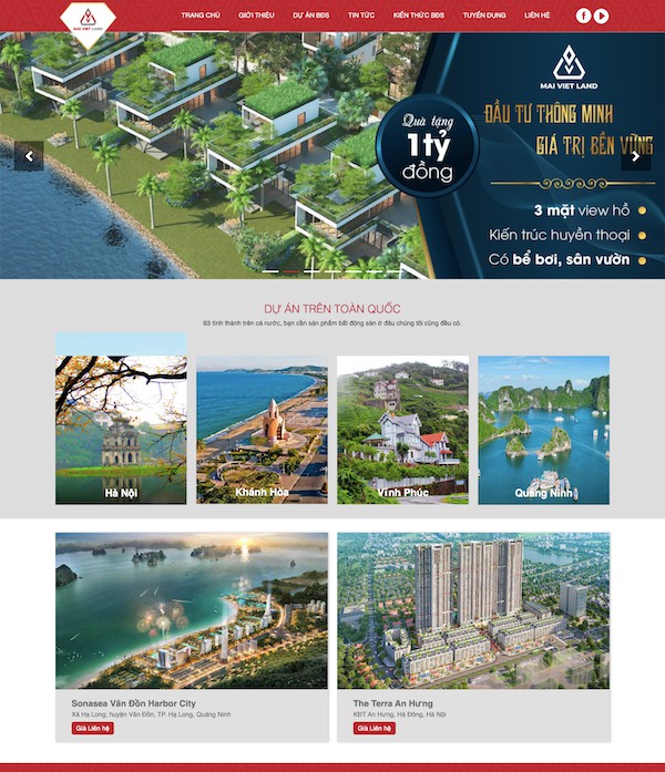 Mẫu dự án bất động sản Mai Việt Land